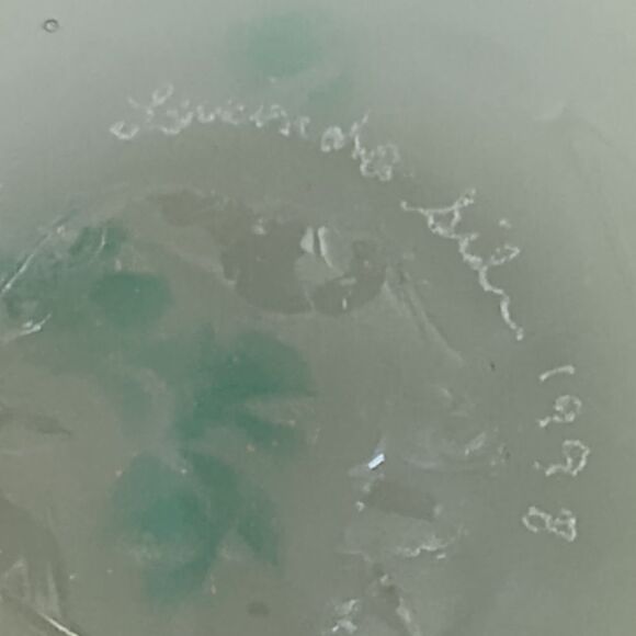 Art Glass Opalescent Candle Holder Votive Tealight Shamrock Signed Lucinda Silva - Picture 8 of 16